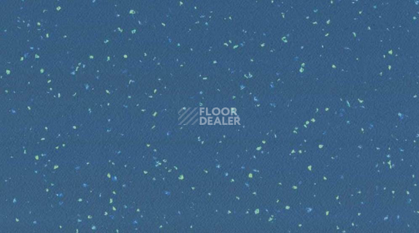 Линолеум Taralay Premium Compact Indiana 4476 WATTARU фото 1 | FLOORDEALER